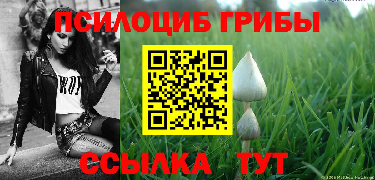 Псилоцибиновые грибы Magic Shrooms Вязьма
