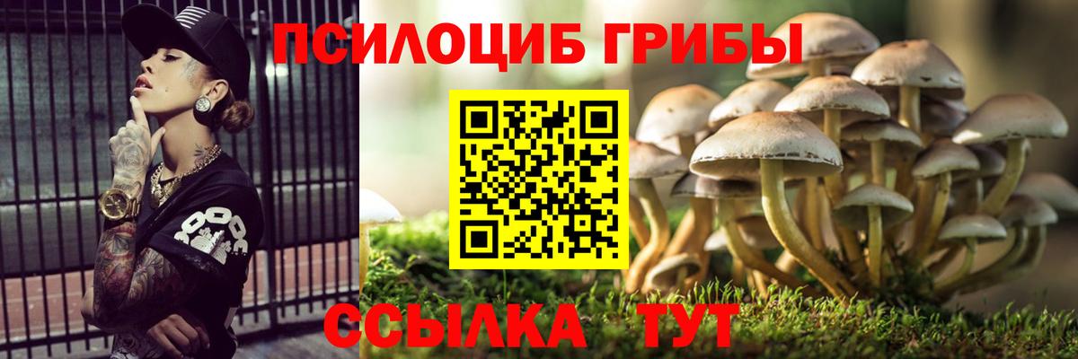 Псилоцибиновые грибы мицелий  Вход с VPN  Вязьма 